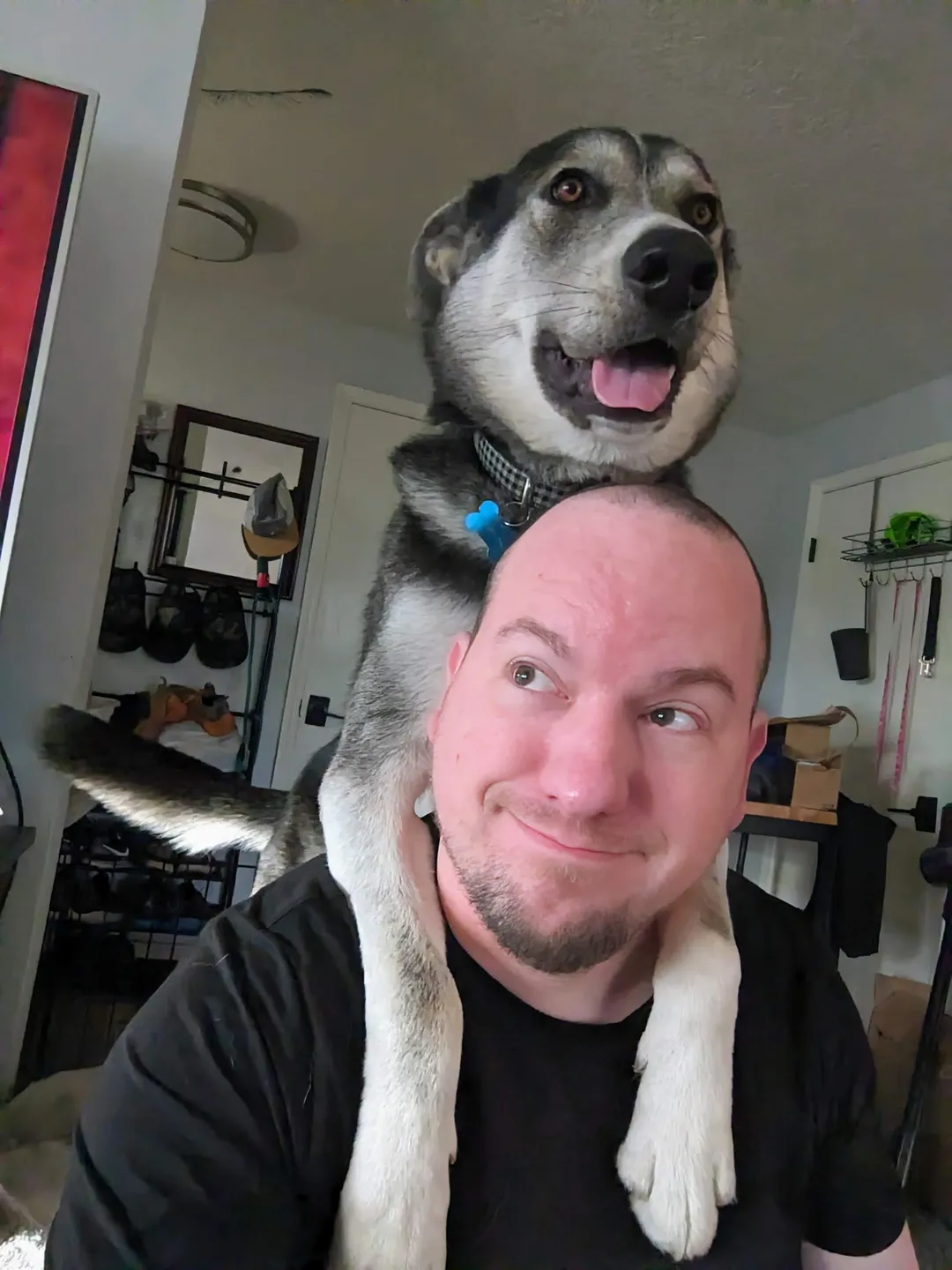Boarding — Steve with a dog